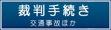 裁判手続き：交通事故ほか