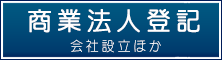 商業法人登記：会社設立ほか